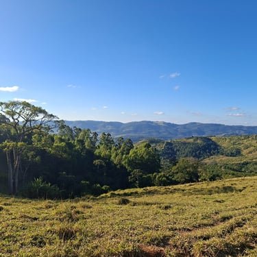 Trabalho de campo