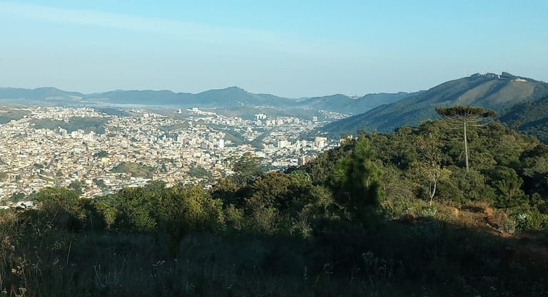 Trabalho de campo